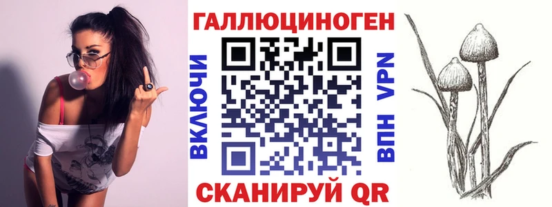 наркотики  Белово  сайты даркнета официальный сайт  Псилоцибиновые грибы Psilocybine cubensis 