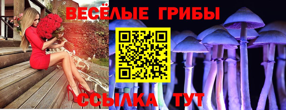 Псилоцибиновые грибы MAGIC MUSHROOMS Белово